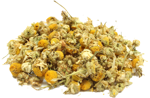 Chamomile