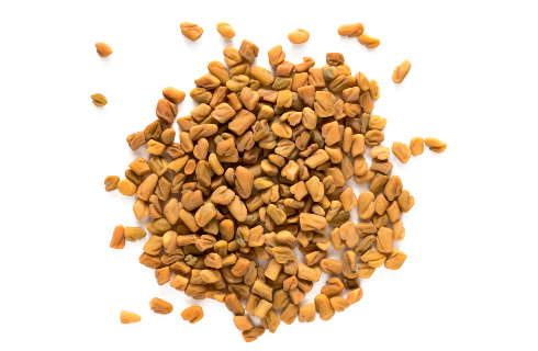 Fenugreek