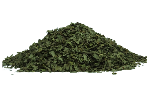 Egyptian Basil Ocimum basilicum Fruz for Export