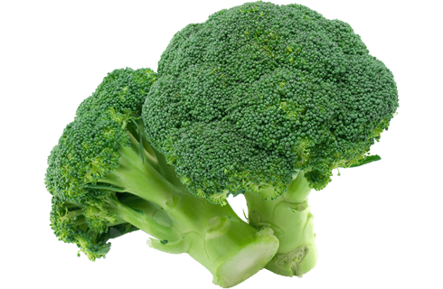 broccoli2